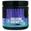 Universal Nutrition  Grape 120.00 chews