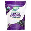 Nature's Way  Original Elderberry 24.00 lzngs