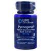 Life Extension Pycnogenol (100mg) System.Web.UI.WebControls.Literal System.Web.UI.WebControls.Literal System.Web.UI.WebControls.Literal