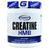 Gaspari Nutrition  Strawberry Lemonade 300.00 grams