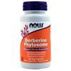 Now Berberine Phytosome (550mg) System.Web.UI.WebControls.Literal System.Web.UI.WebControls.Literal System.Web.UI.WebControls.Literal