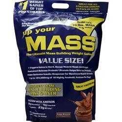 MHP Up Your Mass Fudge Brownie 9.5 lbs