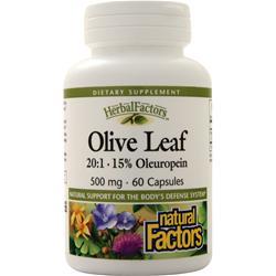 Natural Factors Olive Leaf Extract (500mg) 60 caps