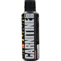 universal l carnitine Universal Nutrition Carnitine Liquid on sale at AllStarHealth.com