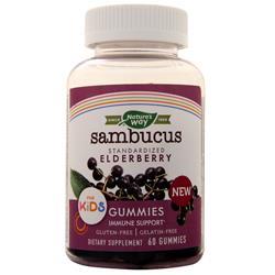 Natures Way Sambucus Gummies For Kids - Standardized Elderberry on sale ...