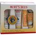 Burt's Bees Essential Burt's Bees Kit  1 kit