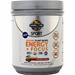 Garden Of Life Sport - Organic Plant-Based Energy & Focus SugarFreeBlackberryCherry 231 grams