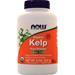 Now Organic Kelp Pure Powder  8 oz