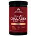 Ancient Nutrition Multi Collagen Protein Beauty + Sleep Vanilla Chai 467.4 grams