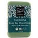 One With Nature Dead Sea Mineral Soap Eucalyptus 7 oz