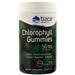 Trace Chlorophyll Gummies Berry 60 gummy