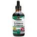 Nature's Answer Echinacea & Goldenseal (Alcohol-Free)  4 fl.oz