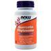 Now Quercetin Phytosome (250mg)  90 vcaps