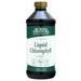 Buried Treasure Liquid Chlorophyll Spearmint 16.54 fl.oz