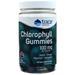 Trace Chlorophyll Gummies Berry 60 gummy