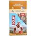 Clif Bar Clif Bar Caramel Chocolate Chip with Caffeine 12 bars