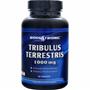 BodyStrong Tribulus Terrestris (1000mg)  90 tabs