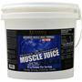 Ultimate Nutrition Muscle Juice 2544 Weight Gain Drink Mix Vanilla 13.2 lbs