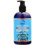 Rainbow Research Henna & Biotin Shampoo For Normal or Color Treated Hair 12 fl.oz