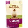 Pet Naturals Of Vermont L-Lysine for Cats of All Sizes BEST BY 5/26 60 chews