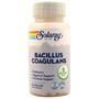 Solaray Bacillus Coagulans (5 billion)  60 vcaps