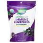 Nature's Way Organic Sambucus Immune Lozenges Original Elderberry 24 lzngs